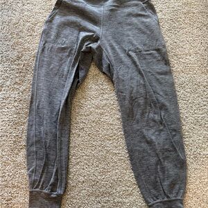 Lululemon Align Joggers Nulu Fabric - 10